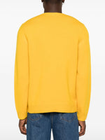 Load image into Gallery viewer, A.P.C. Edward Jumper
